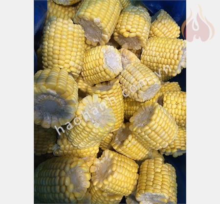487304118_1213449304122292_5298250606553357615_n
