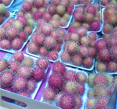 CLEAN RAMBUTAN FOR EXPORT ACCORDING TO EU STANDARDS