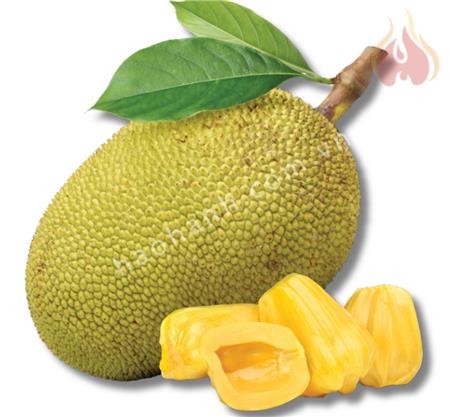 JACKFRUIT – THE SWEET TASTE OF TROPICAL SUN AND WIND