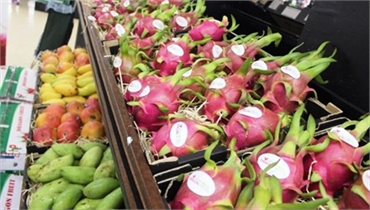 Vietnamese Dragon Fruit Asserting Its Value in the Australian Market